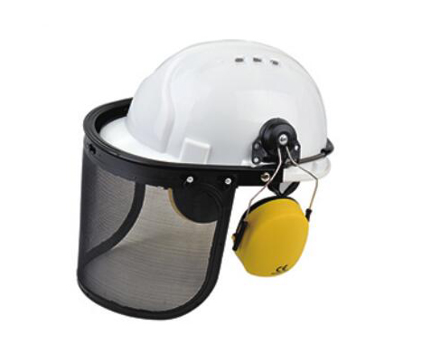 Face Protection Shield