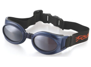 Safety Glasses